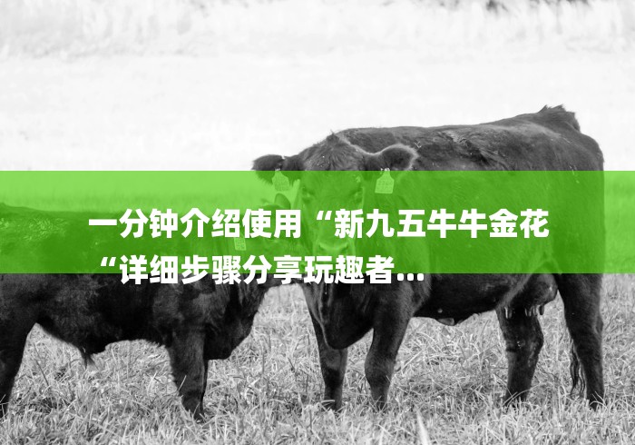 一分钟介绍使用“新九五牛牛金花
“详细步骤分享玩趣者...