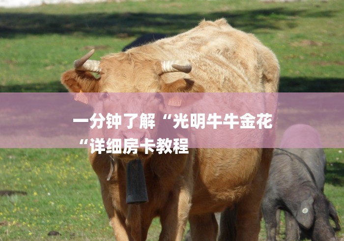 一分钟了解“光明牛牛金花
“详细房卡教程 一分钟了解“光明牛牛金花
“详细房卡教程