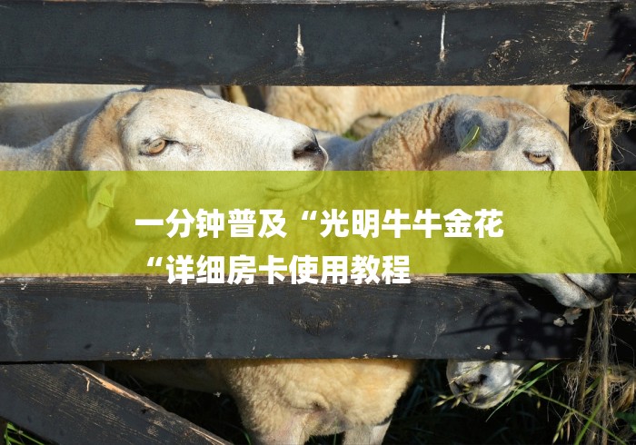 一分钟普及“光明牛牛金花
“详细房卡使用教程 一分钟普及“光明牛牛金花
“详细房卡使用教程