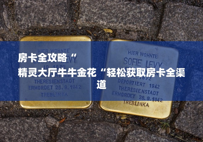房卡全攻略“
精灵大厅牛牛金花“轻松获取房卡全渠道 房卡全攻略“
精灵大厅牛牛金花“轻松获取房卡全渠道