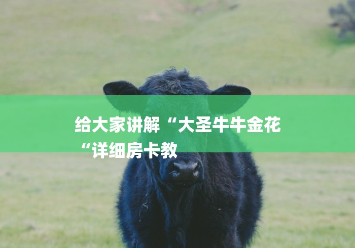 给大家讲解“大圣牛牛金花
“详细房卡教