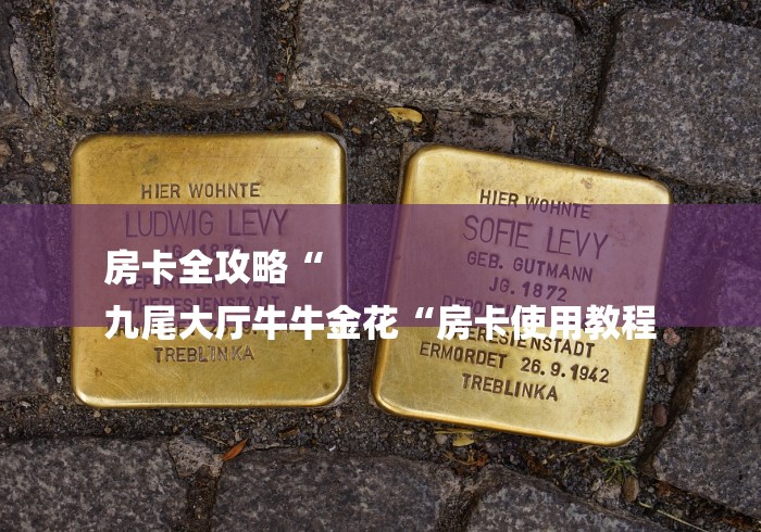 房卡全攻略“
九尾大厅牛牛金花“房卡使用教程