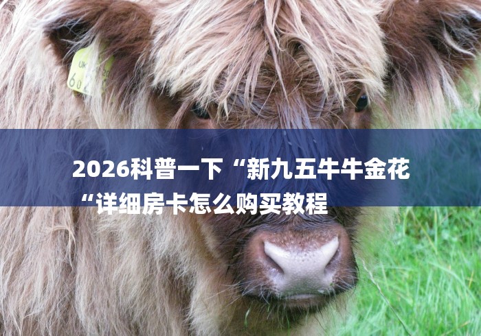 2026科普一下“新九五牛牛金花
“详细房卡怎么购买教程