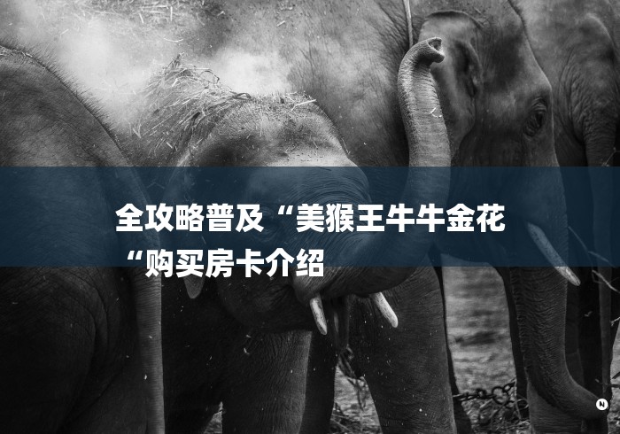 全攻略普及“美猴王牛牛金花
“购买房卡介绍