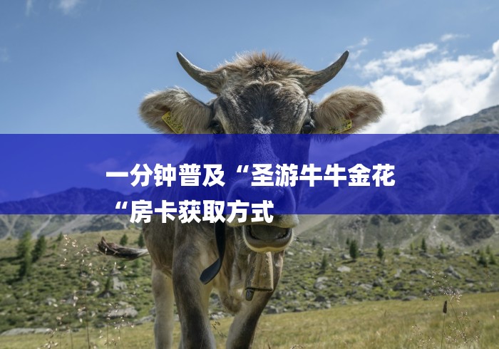 一分钟普及“圣游牛牛金花
“房卡获取方式 一分钟普及“圣游牛牛金花
“房卡获取方式
