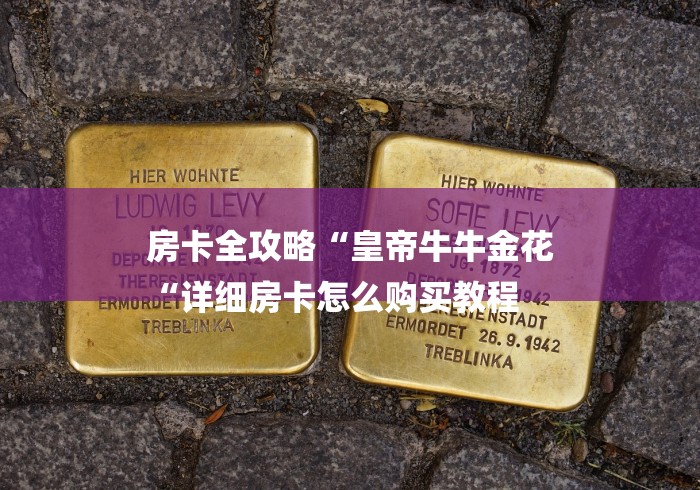 房卡全攻略“皇帝牛牛金花
“详细房卡怎么购买教程