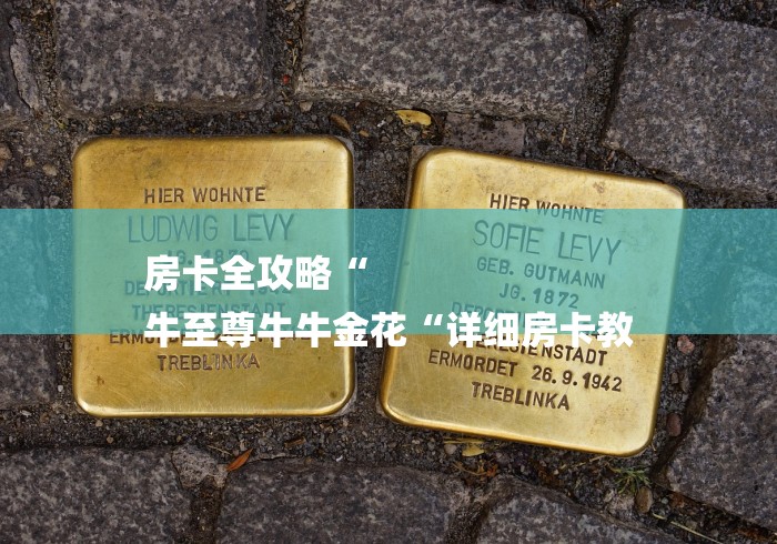 房卡全攻略“
牛至尊牛牛金花“详细房卡教