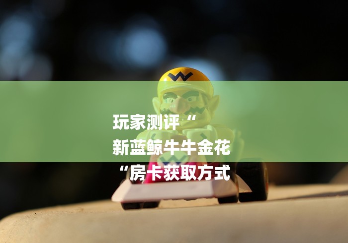 玩家测评“
新蓝鲸牛牛金花
“房卡获取方式 玩家测评“
新蓝鲸牛牛金花
“房卡获取方式