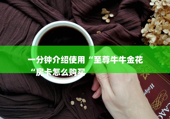 一分钟介绍使用“至尊牛牛金花
“房卡怎么购买 一分钟介绍使用“至尊牛牛金花
“房卡怎么购买