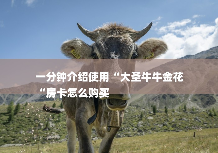 一分钟介绍使用“大圣牛牛金花
“房卡怎么购买