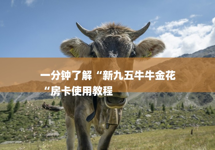 一分钟了解“新九五牛牛金花
“房卡使用教程 一分钟了解“新九五牛牛金花
“房卡使用教程