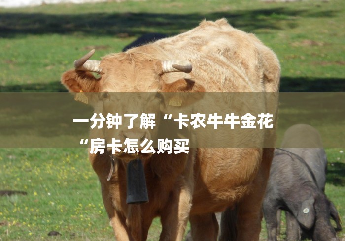 一分钟了解“卡农牛牛金花
“房卡怎么购买