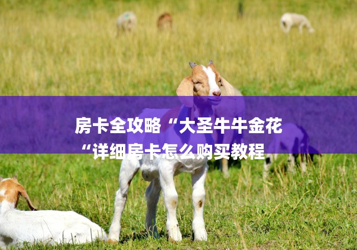 房卡全攻略“大圣牛牛金花
“详细房卡怎么购买教程