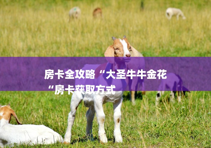 房卡全攻略“大圣牛牛金花
“房卡获取方式 房卡全攻略“大圣牛牛金花
“房卡获取方式