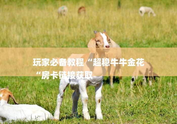 玩家必备教程“超稳牛牛金花
“房卡链接获取