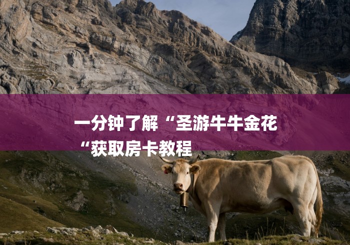 一分钟了解“圣游牛牛金花
“获取房卡教程 一分钟了解“圣游牛牛金花
“获取房卡教程