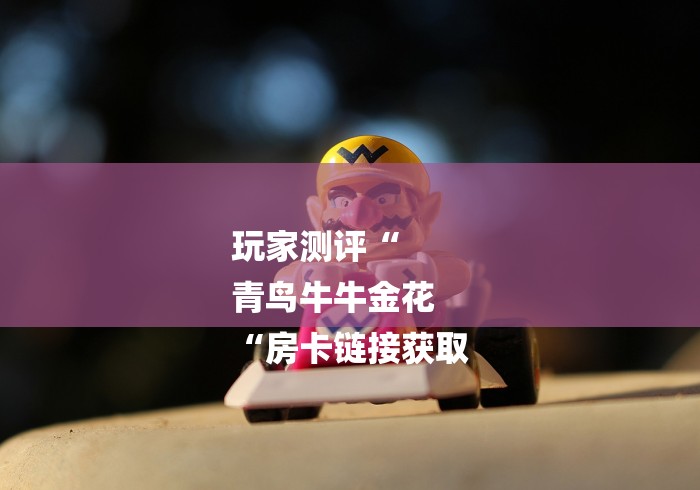 玩家测评“
青鸟牛牛金花
“房卡链接获取