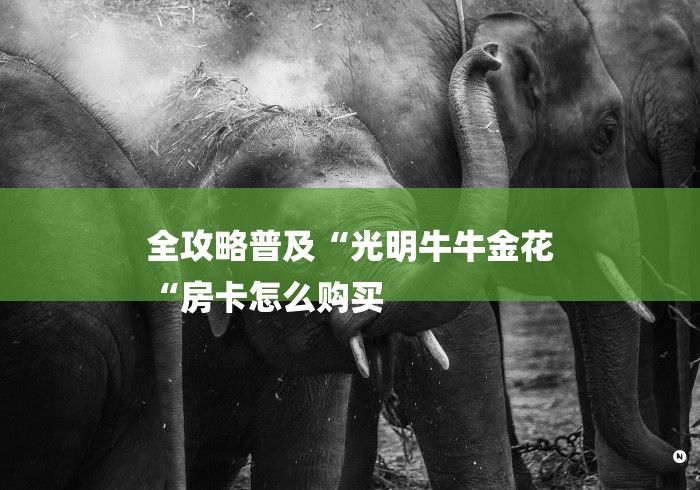 全攻略普及“光明牛牛金花
“房卡怎么购买 全攻略普及“光明牛牛金花
“房卡怎么购买