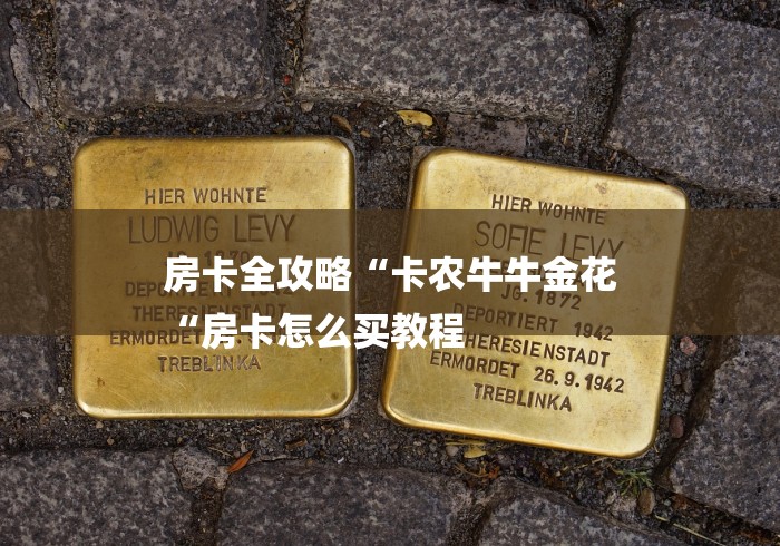 房卡全攻略“卡农牛牛金花
“房卡怎么买教程 房卡全攻略“卡农牛牛金花
“房卡怎么买教程