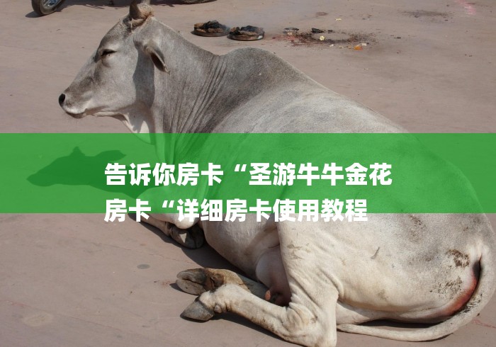 告诉你房卡“圣游牛牛金花
房卡“详细房卡使用教程