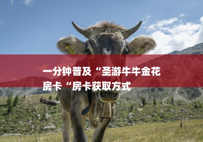 一分钟普及“圣游牛牛金花
房卡“房卡获取方式 一分钟普及“圣游牛牛金花
房卡“房卡获取方式