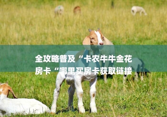 全攻略普及“卡农牛牛金花
房卡“哪里买房卡获取链接 全攻略普及“卡农牛牛金花
房卡“哪里买房卡获取链接