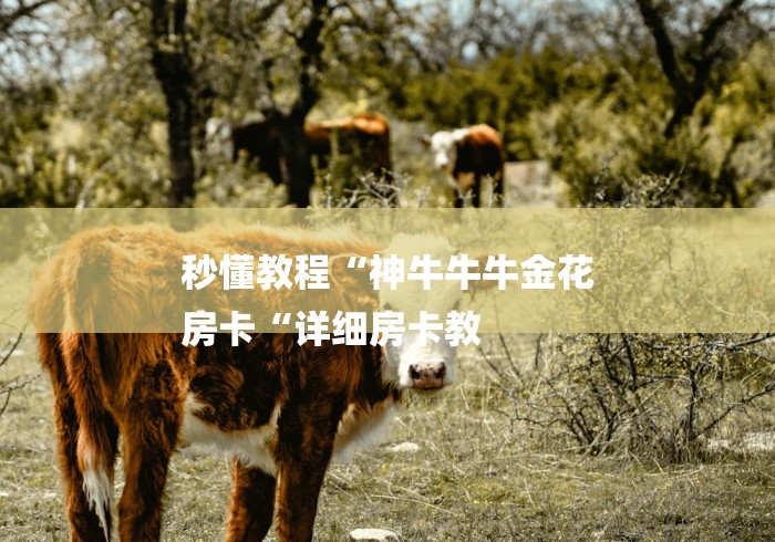 秒懂教程“神牛牛牛金花
房卡“详细房卡教 秒懂教程“神牛牛牛金花
房卡“详细房卡教