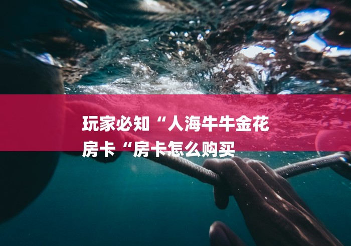 玩家必知“人海牛牛金花
房卡“房卡怎么购买