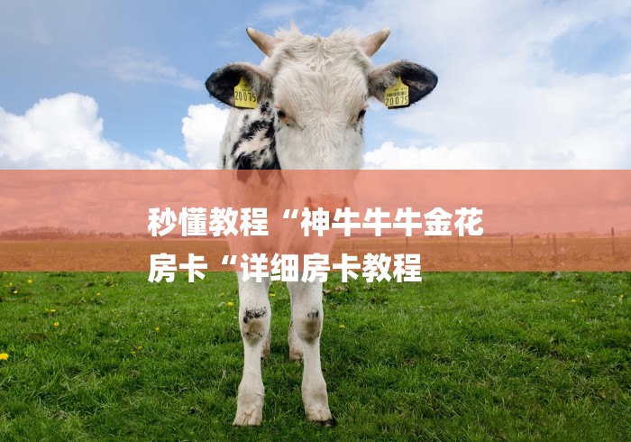 秒懂教程“神牛牛牛金花
房卡“详细房卡教程 秒懂教程“神牛牛牛金花
房卡“详细房卡教程