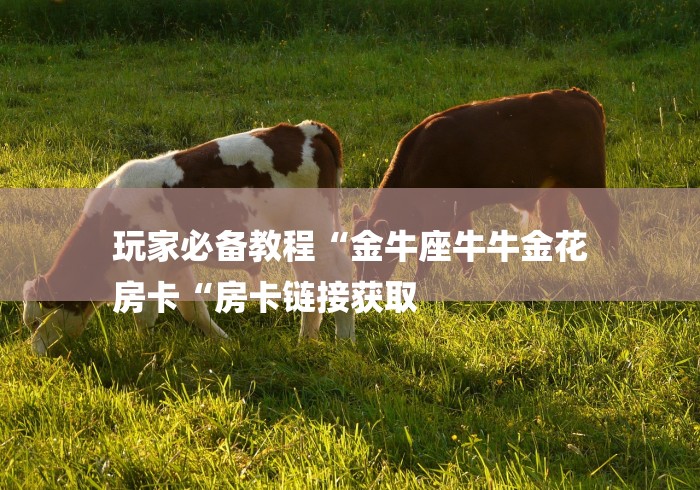 玩家必备教程“金牛座牛牛金花
房卡“房卡链接获取 玩家必备教程“金牛座牛牛金花
房卡“房卡链接获取