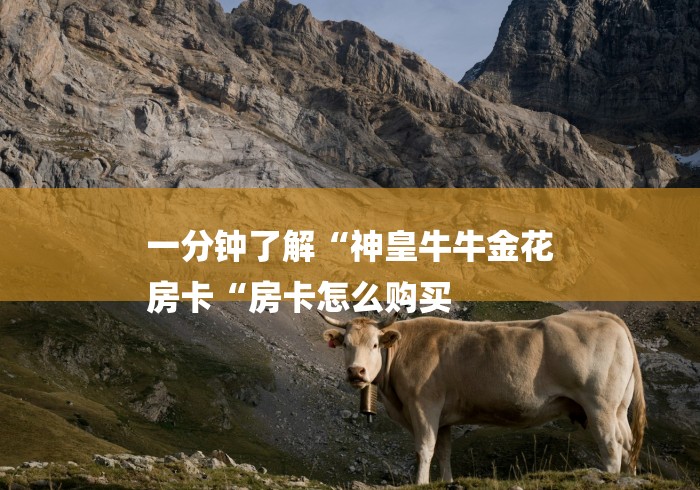 一分钟了解“神皇牛牛金花
房卡“房卡怎么购买