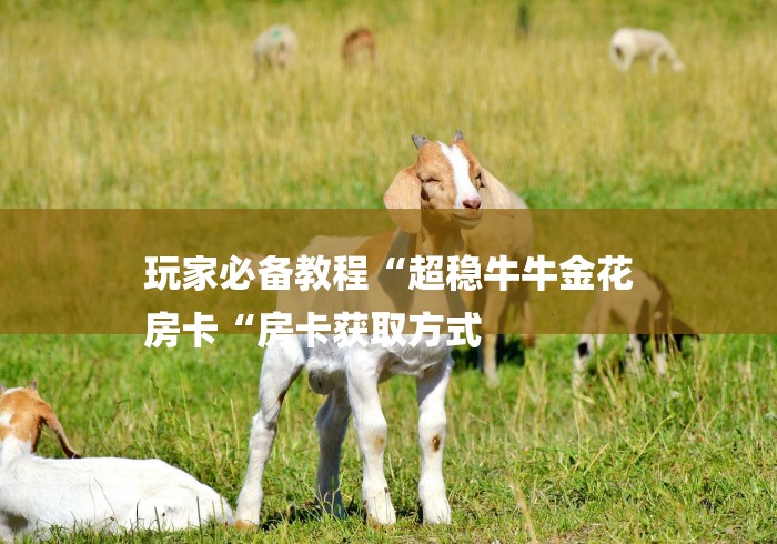 玩家必备教程“超稳牛牛金花
房卡“房卡获取方式 玩家必备教程“超稳牛牛金花
房卡“房卡获取方式