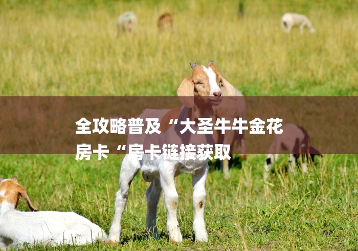 全攻略普及“大圣牛牛金花
房卡“房卡链接获取 全攻略普及“大圣牛牛金花
房卡“房卡链接获取