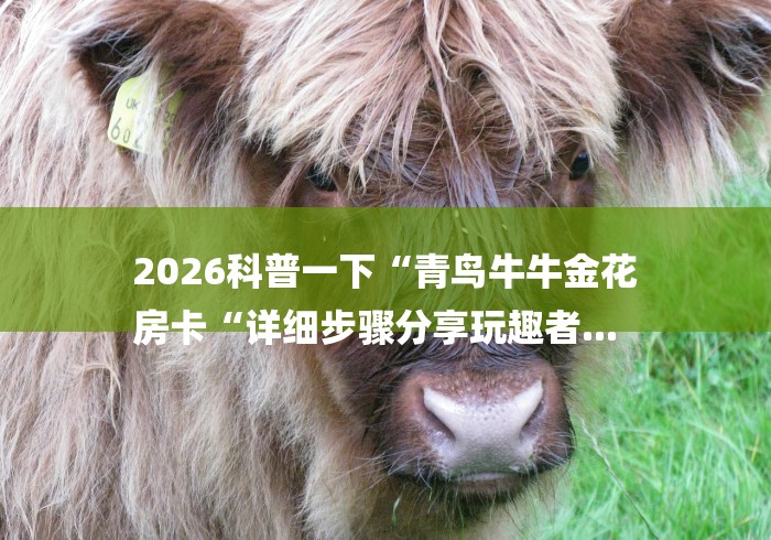 2026科普一下“青鸟牛牛金花
房卡“详细步骤分享玩趣者... 2026科普一下“青鸟牛牛金花
房卡“详细步骤分享玩趣者...