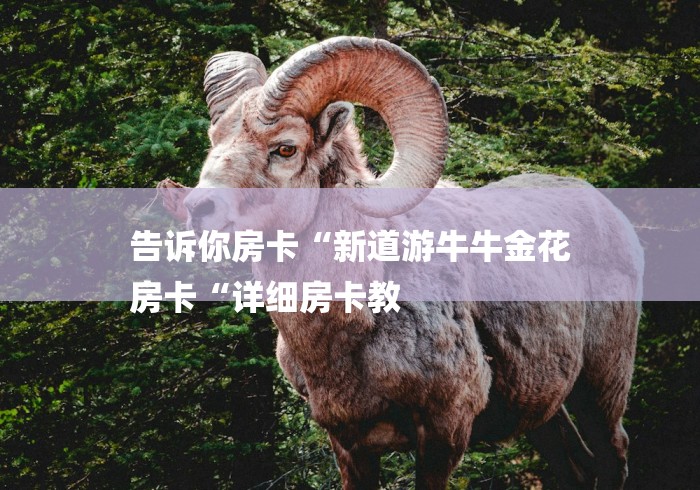 告诉你房卡“新道游牛牛金花
房卡“详细房卡教