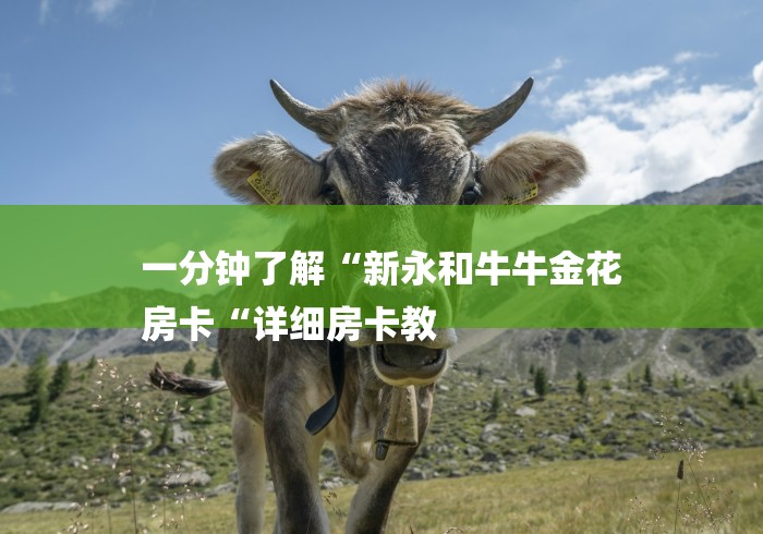 一分钟了解“新永和牛牛金花
房卡“详细房卡教