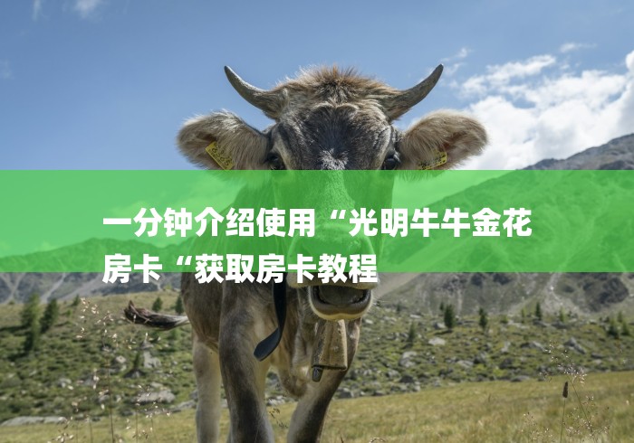一分钟介绍使用“光明牛牛金花
房卡“获取房卡教程