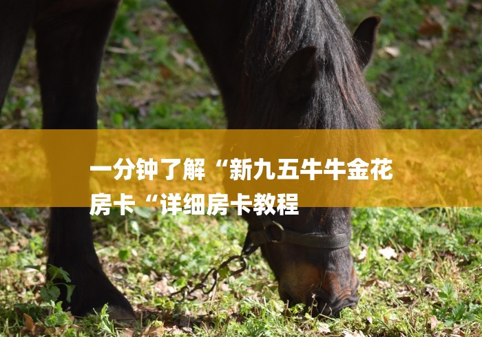 一分钟了解“新九五牛牛金花
房卡“详细房卡教程 一分钟了解“新九五牛牛金花
房卡“详细房卡教程