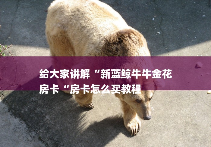 给大家讲解“新蓝鲸牛牛金花
房卡“房卡怎么买教程