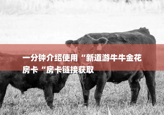 一分钟介绍使用“新道游牛牛金花
房卡“房卡链接获取