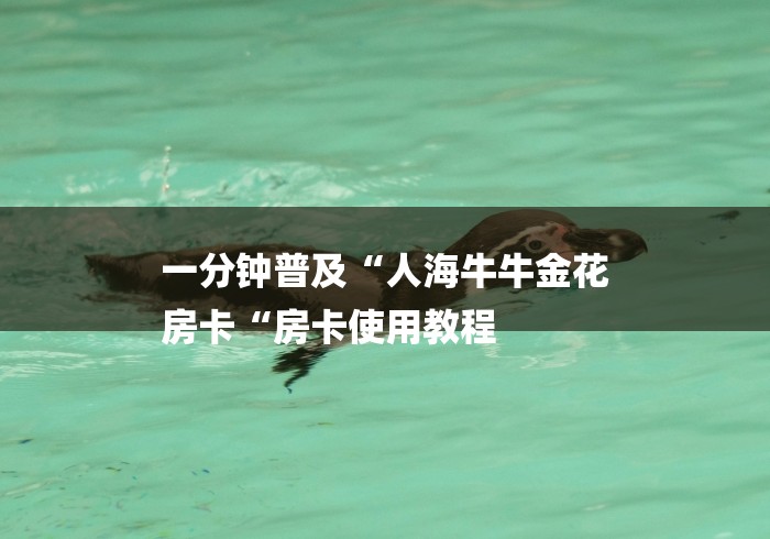 一分钟普及“人海牛牛金花
房卡“房卡使用教程 一分钟普及“人海牛牛金花
房卡“房卡使用教程