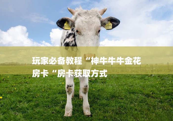 玩家必备教程“神牛牛牛金花
房卡“房卡获取方式 玩家必备教程“神牛牛牛金花
房卡“房卡获取方式