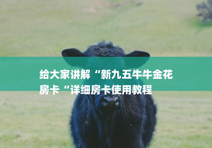 给大家讲解“新九五牛牛金花
房卡“详细房卡使用教程 给大家讲解“新九五牛牛金花
房卡“详细房卡使用教程