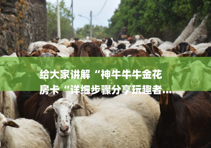给大家讲解“神牛牛牛金花
房卡“详细步骤分享玩趣者... 给大家讲解“神牛牛牛金花
房卡“详细步骤分享玩趣者...