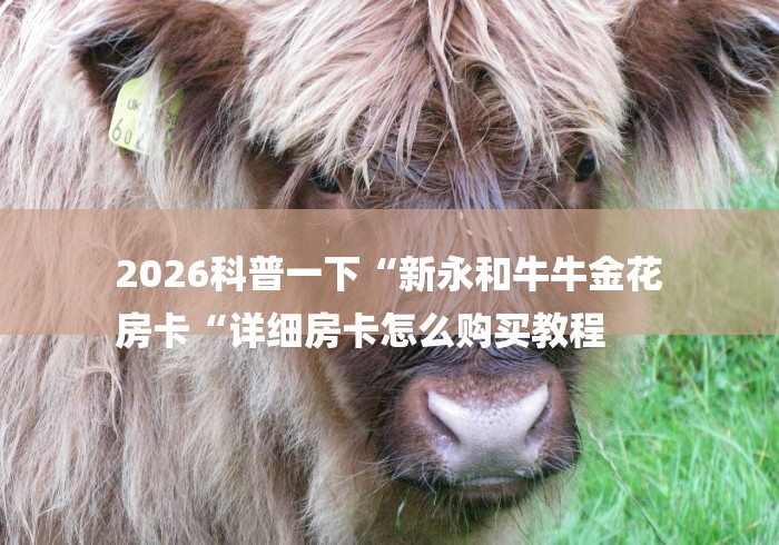 2026科普一下“新永和牛牛金花
房卡“详细房卡怎么购买教程