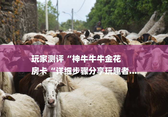 玩家测评“神牛牛牛金花
房卡“详细步骤分享玩趣者... 玩家测评“神牛牛牛金花
房卡“详细步骤分享玩趣者...