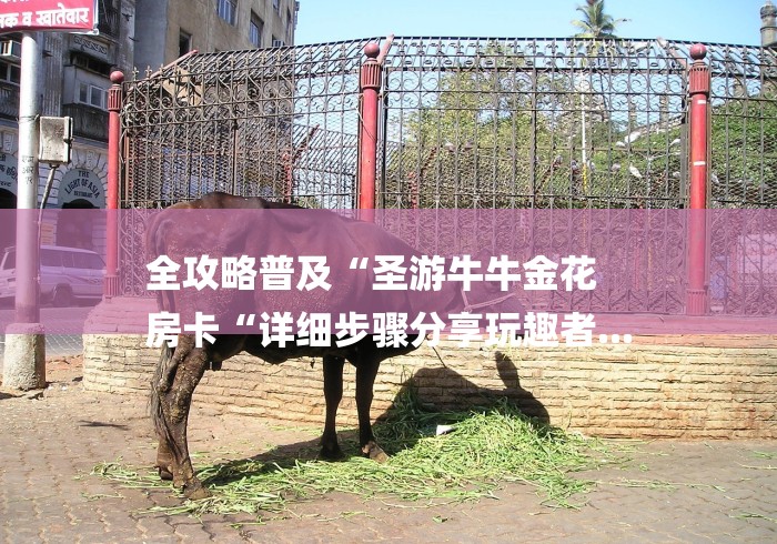 全攻略普及“圣游牛牛金花
房卡“详细步骤分享玩趣者... 全攻略普及“圣游牛牛金花
房卡“详细步骤分享玩趣者...