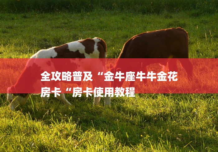 全攻略普及“金牛座牛牛金花
房卡“房卡使用教程 全攻略普及“金牛座牛牛金花
房卡“房卡使用教程