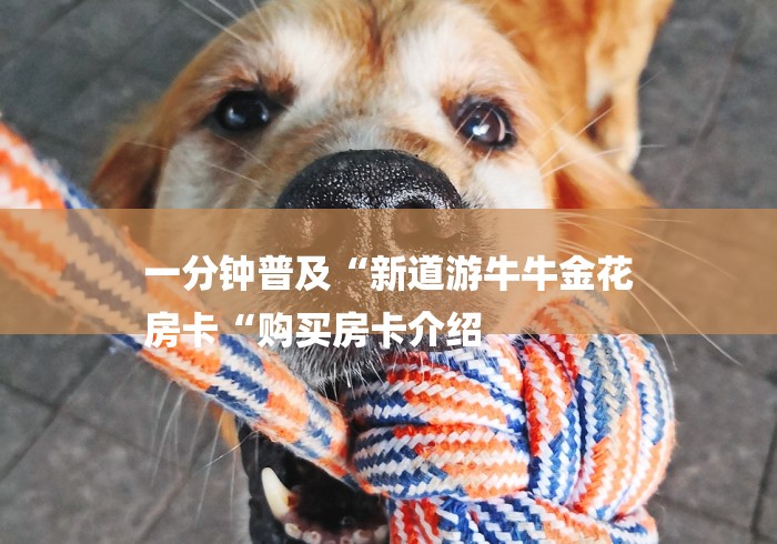 一分钟普及“新道游牛牛金花
房卡“购买房卡介绍 一分钟普及“新道游牛牛金花
房卡“购买房卡介绍