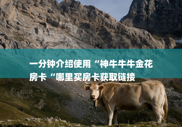 一分钟介绍使用“神牛牛牛金花
房卡“哪里买房卡获取链接